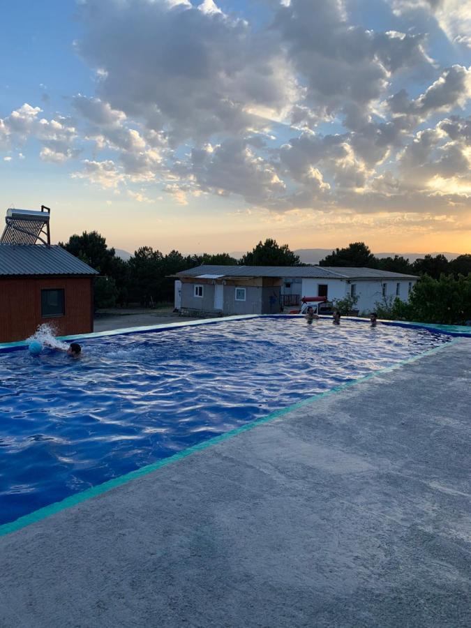 Zhayr Resort & Dive Drakhtik 외부 사진