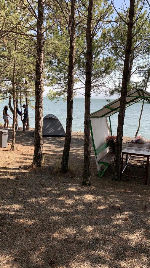 Zhayr Resort & Dive Drakhtik 외부 사진