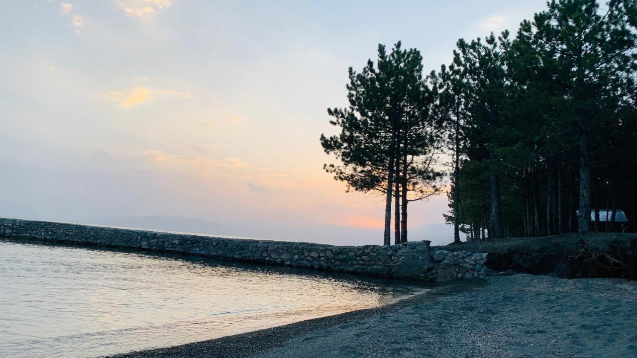 Zhayr Resort & Dive Drakhtik 외부 사진